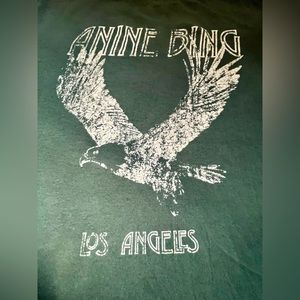 Anine Bing faded emerald tee